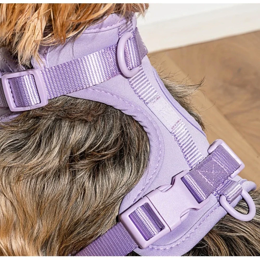 Wild One Dog Harness - Lilac - Size: XS